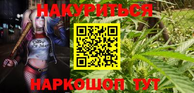 ГАЛЛЮЦИНОГЕННЫЕ ГРИБЫ Новозыбков