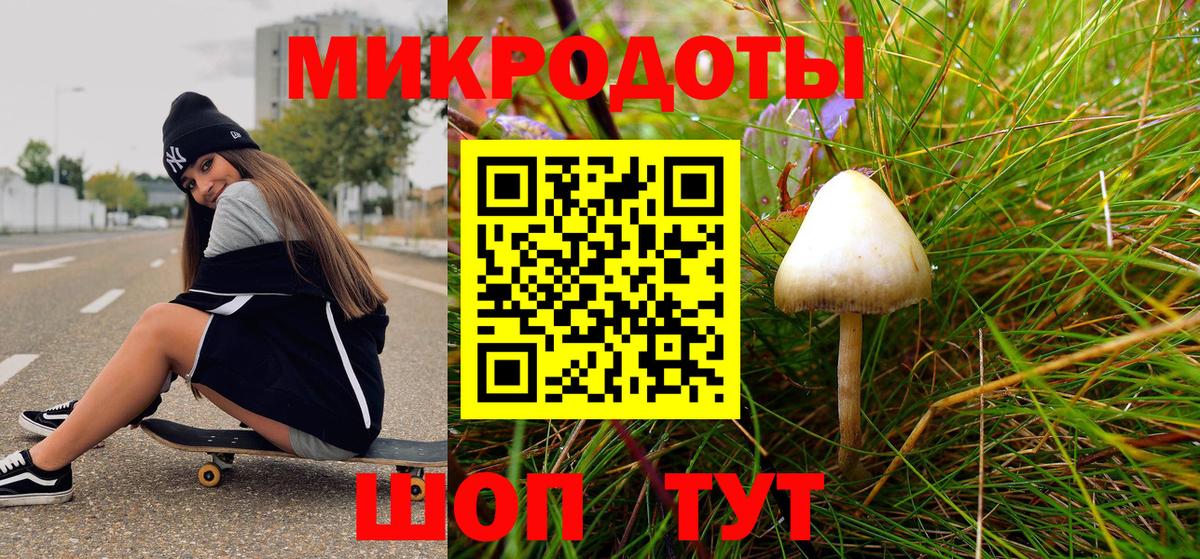 Галлюциногенные грибы GOLDEN TEACHER  Вход с VPN  Сухой Лог 
